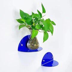 2'li Oval Duvar Raf Mavi