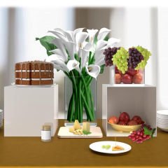 Renkli Kapaksız Pleksi Kutu